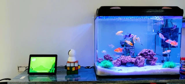 Tragbare Solargenerator als Notsromversorgung für Aquarium