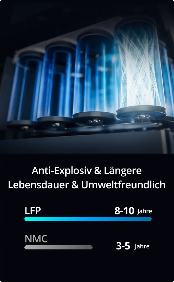 VITA 550 mit LFP Batterie